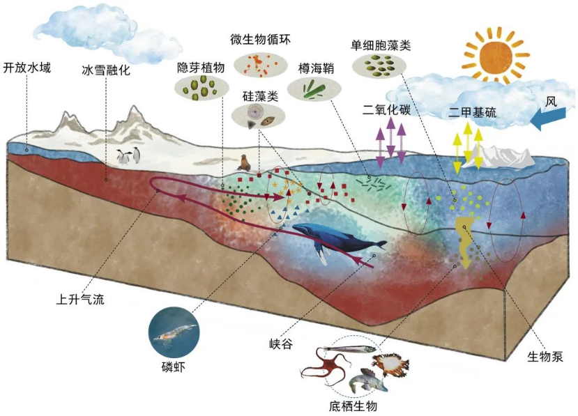 0705自然资源部极地科学重点实验室2022夏季班方案Online2638