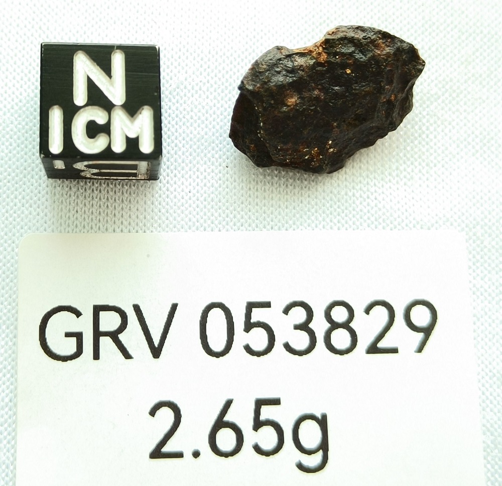 GRV05382-1 GRV05382-1