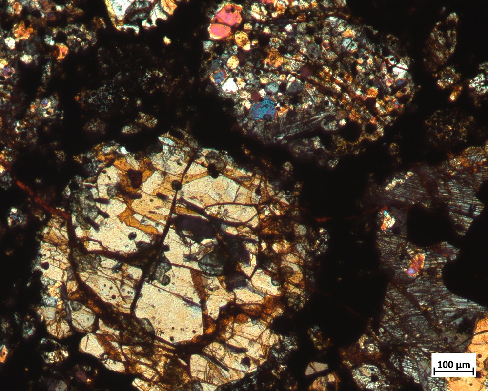 GRV05382-2 GRV05382-2